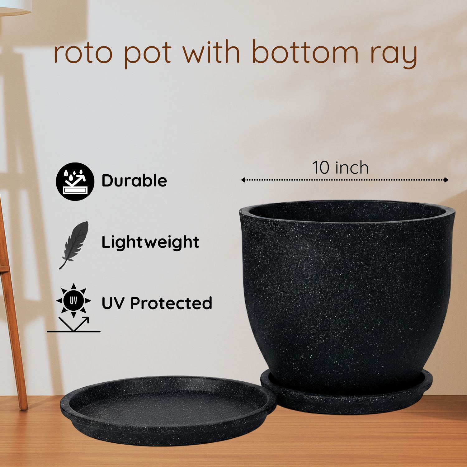 china doll xl live plant 3–4 ft with 10 inch roto planter china doll xl live plant 3–4 ft with 10 inch roto planter